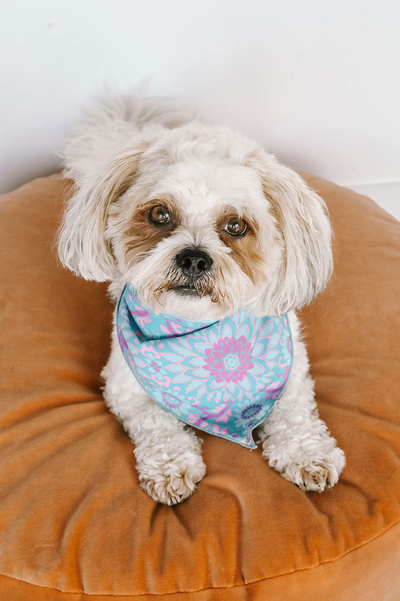 Lovers Beach Dog Bandana - Small